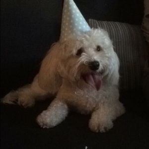 Meet your Posher, Vu